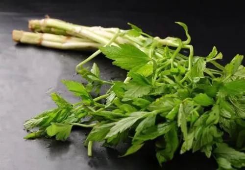 在春季推荐糖尿病人吃的7种野菜，食用注意事项也送上啰!