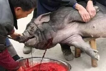 中国最罕见的四个姓氏, 第三个神秘,第四个是男人都想拥有 - 罗杰军 - 羅傑軍 博客 中国最罕见的四个姓氏, 第三个神秘,第四个是男人都想拥有 - 罗杰军 - 羅傑軍 博客