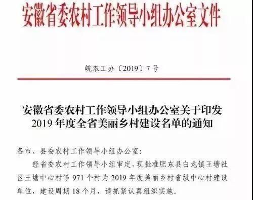 2019年度全省美丽乡村建设名单,桐城10个中心