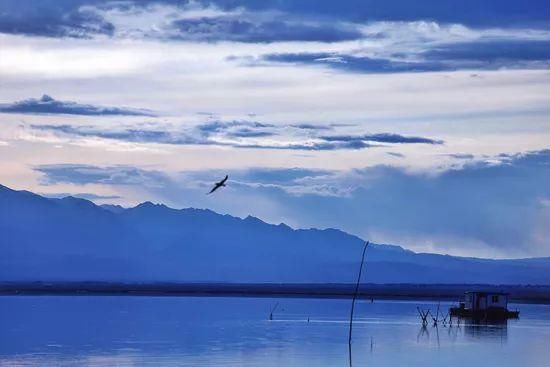 三月，青海无限美，不负好春光！