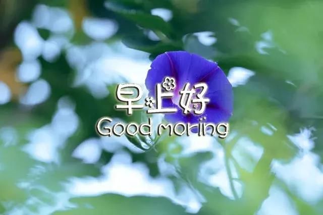 什么歌有一句下雨啦 t01cb712eed5538b616.jpg