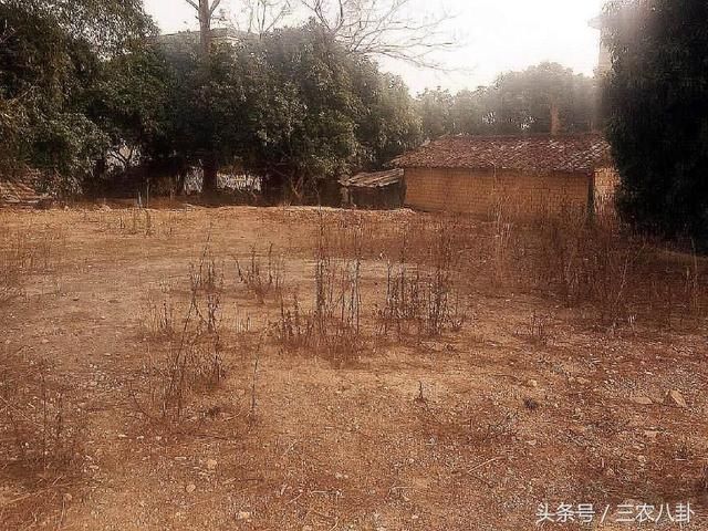 农村出嫁女不能申请宅基地?不注意这几点真不能申请宅基地!
