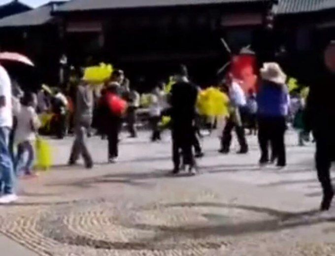 游客哄抢展览花 景区回应:我们把这些景观花当