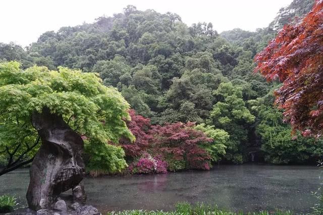 西湖美景三月天