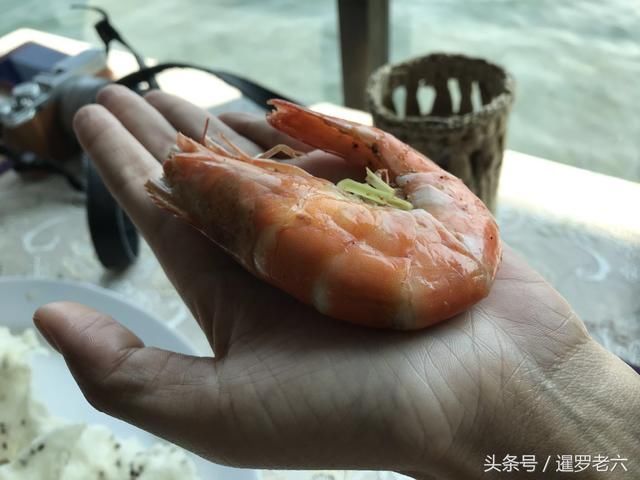 在芭堤雅海边吃顿海鲜，“大虾”一只就卖7.77元，不是一般的壕！