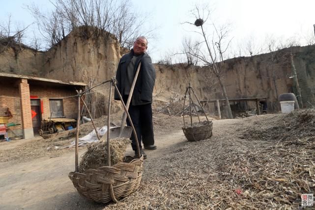 郑州“无臂哥”做羊倌脱贫 干活全靠下巴