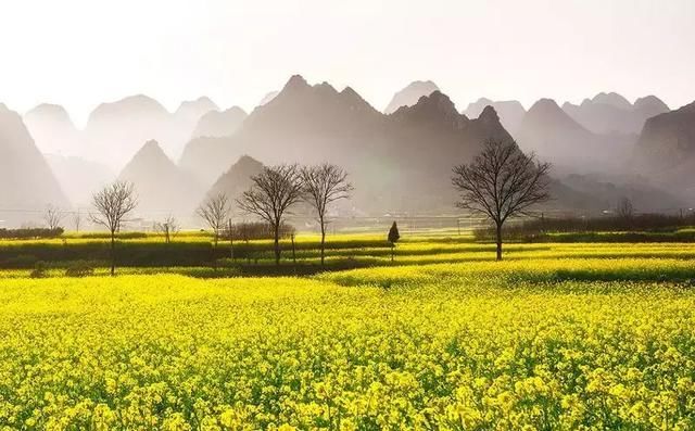 5天4夜游贵州！花海温泉、魅力山水，一个都不落！