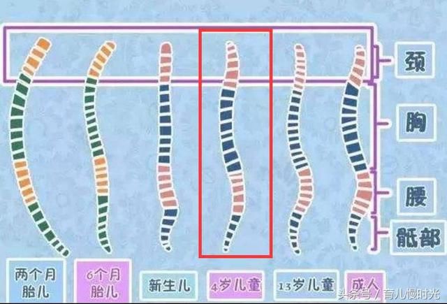 这三款育儿神器，让多少家庭破碎！