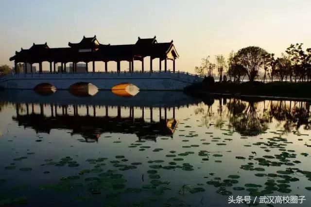 武汉30个春游免费景点大集合!踏青、骑行、拍照来这里就对了!