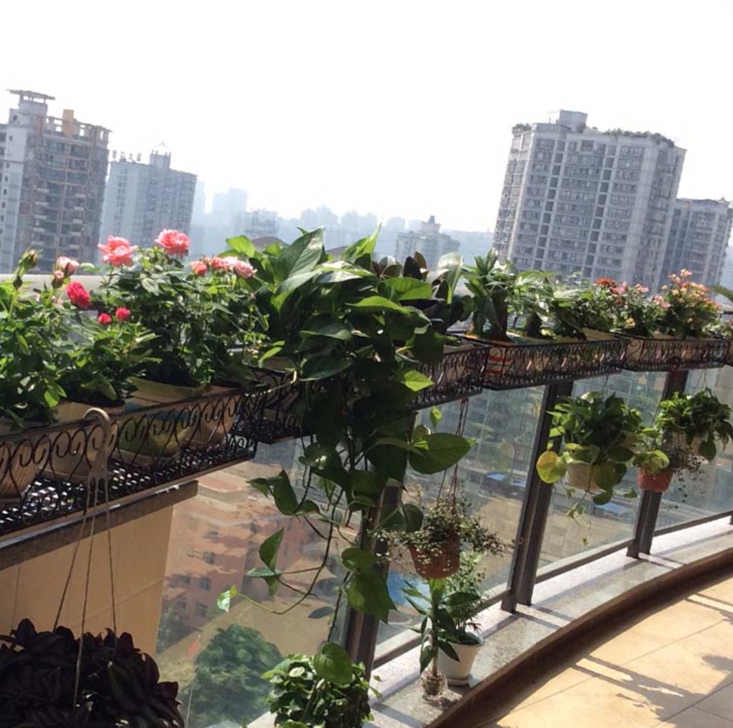 阳台太小不方便晒被子?看看香港主妇这样晒,