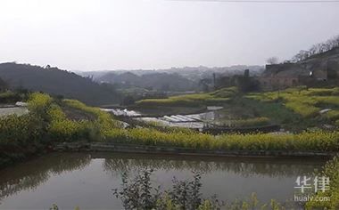 农村养老保险计算方法