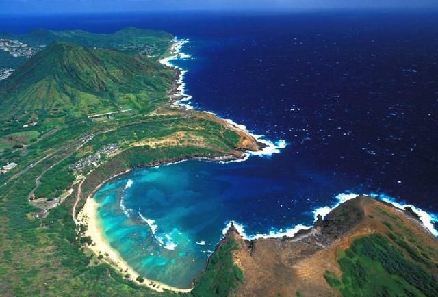 亚洲鲤鱼要"入侵"美国五大湖,他们自己有绝招,还乐在其中!_【快资讯】