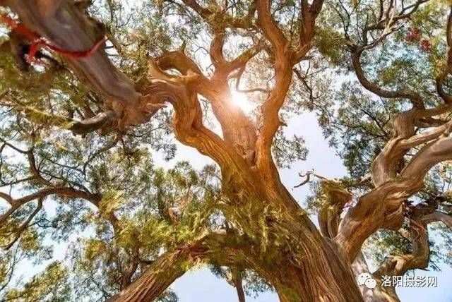 洛阳孟津几绝美古村落！从市区一天打来回还免费！