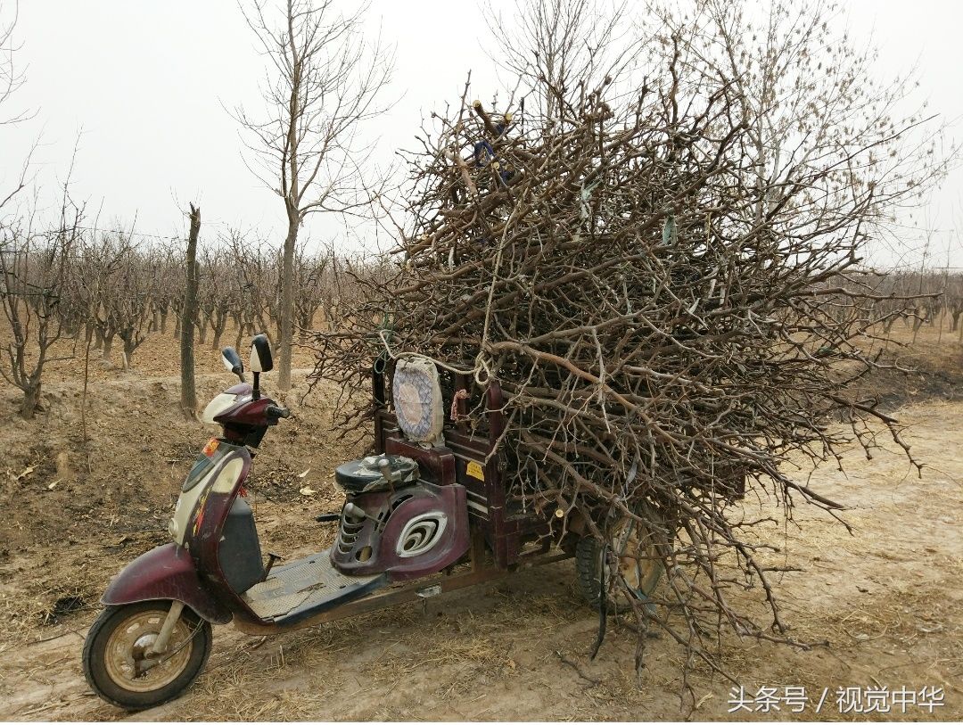 山东滨州:真实的农村场景，你的老家也这样吗?