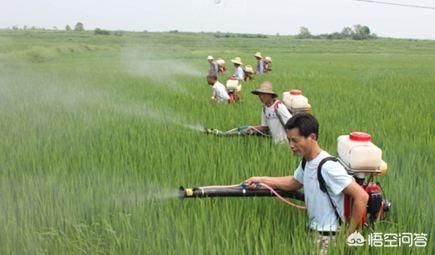 肺癌在农村已经成为高发恶性肿瘤，一人生病全家返贫现象比比皆是