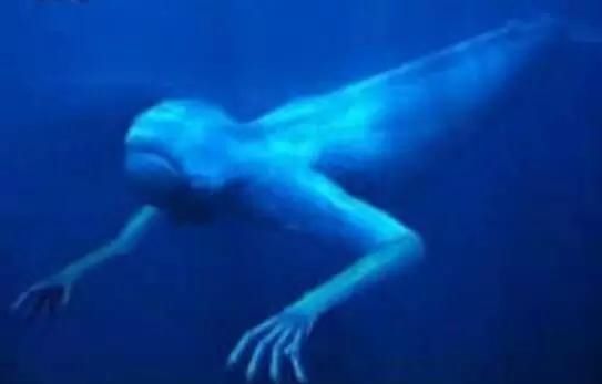 未知生物传说 t01cda6aea94f91269b.jpg