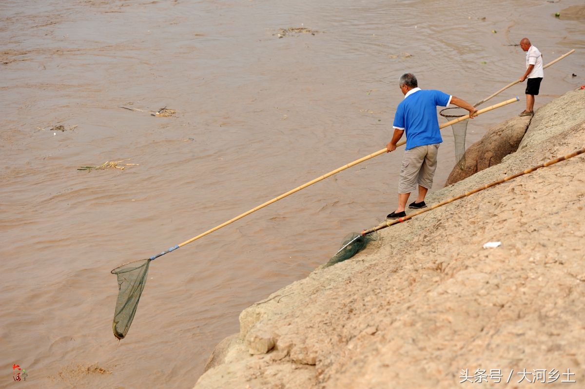 黄河流鱼奇观不再，大叔河边等一天捞了三条鱼，有人却摸起了螃蟹