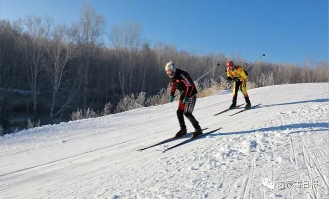 十四冬滑雪项目