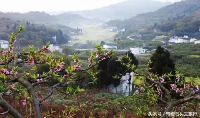 自驾｜四川第一人口大县！却私藏着成都南边最美的春天！