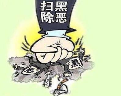扫黑除恶专项斗争目标任务