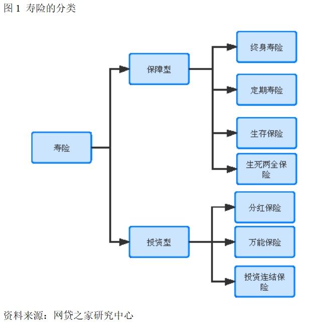 人寿保险是什么