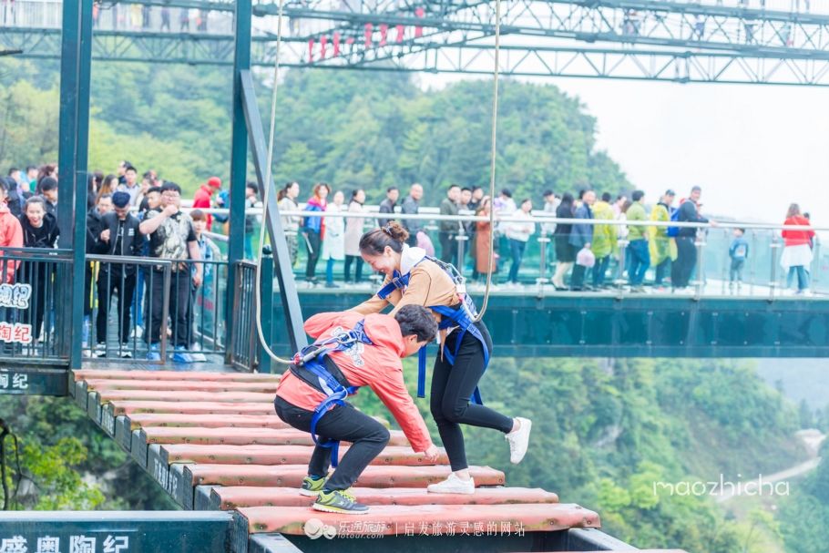 飞跃奥陶纪，重庆网红景区等你来挑战！