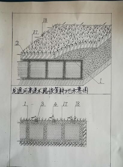 山东济宁能人研发高速调水系统 能让沙漠变绿洲