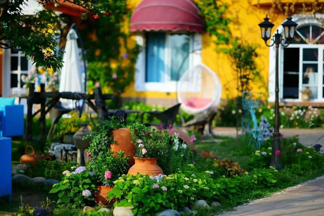 一对夫妻把青白江农家改造成“田园牧歌”，从此家有美景何必远方