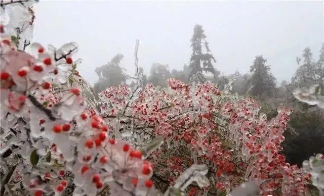 这是贵州最全的冰雪景观！美得有点猝不及防……