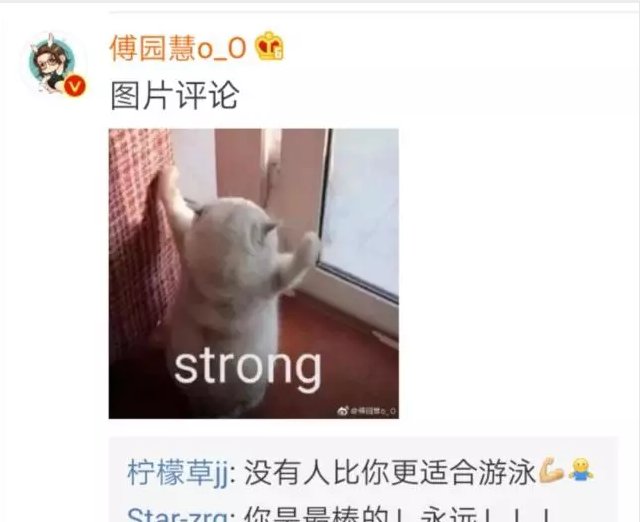 傅园慧爸爸为女发声,直面回应综艺节目影响比赛的言论