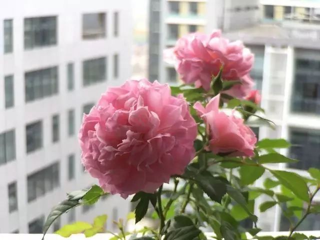 t01cf5f68bf6b0dab9a.jpg