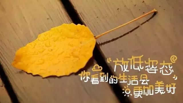 搞笑早上好动态图片鲜花带字和表情,早安v动态罗c最美表情包图片