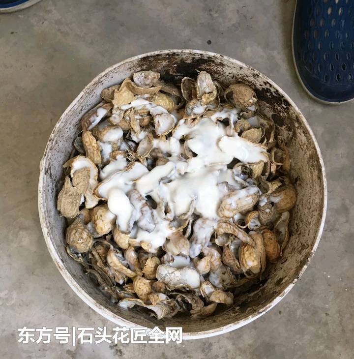 t01cf83c32f4b08d323.jpg