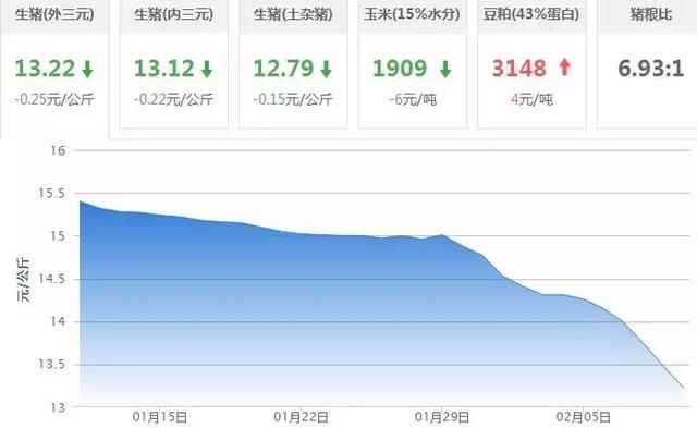 2018春节前猪价一路狂跌 还能回升吗？看这里