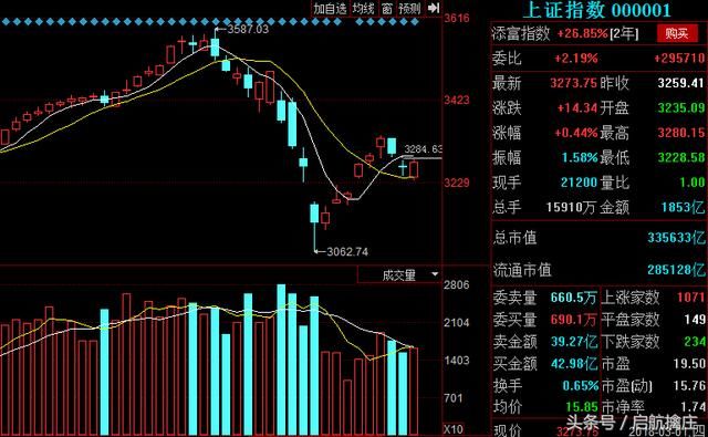 3.02目标：新安股份、乐视网、美联新材、华森制药