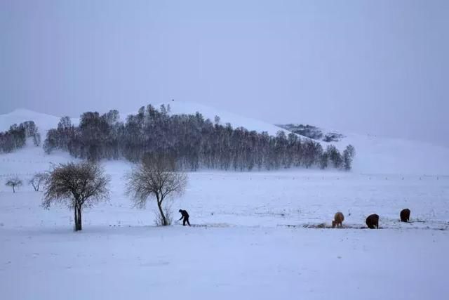 实拍张家口草原天路大雪，这样的寂静你见过吗