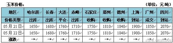 玉米价格稳中调整 产区普迎降雨天气