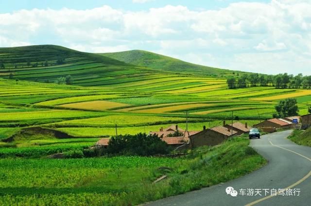 中国最美大草原风景图 t01d02ab75cd51a776e.jpg