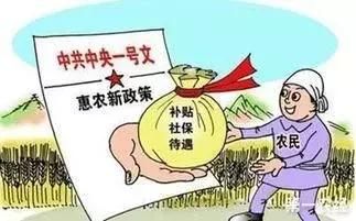 今年的农业补贴有所调整：这四大补贴真正福利切莫忽视！