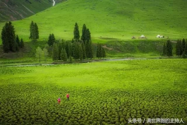 22个绝美的新疆小众草原