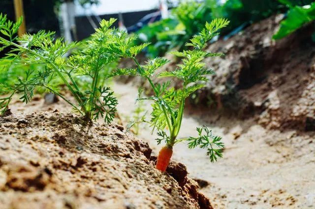 只有1%的人去过，福建这个私密渔村又到了最美时节，海风海鲜都等