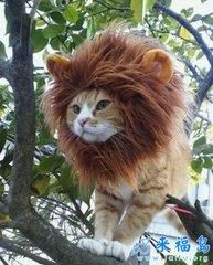 饭后一笑。搞笑段子。开不开心你知道。