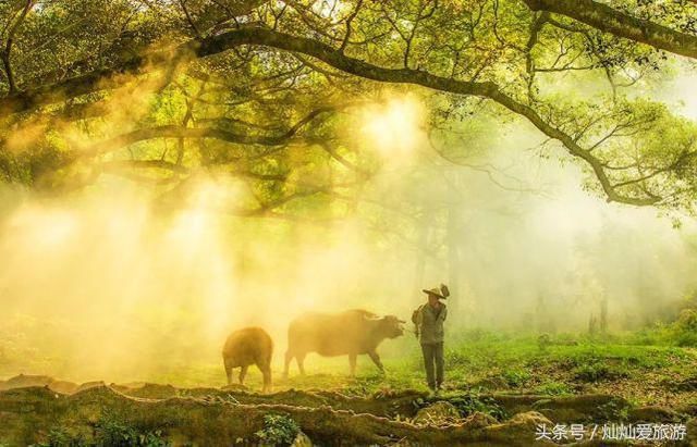 3月份最值得去的20个地方，全都美哭了，新春第场一旅行你去哪儿