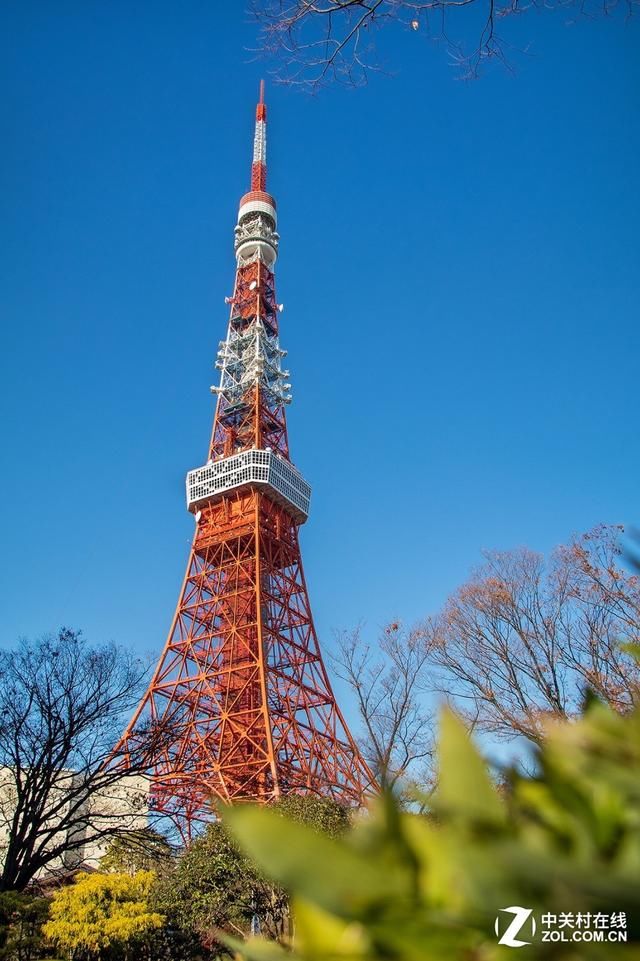 大C游世界 秋季旅拍日本东京的红叶街景