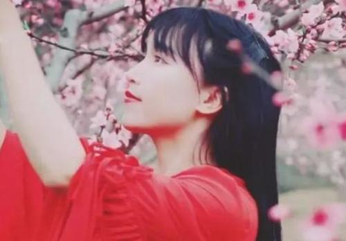 李子柒参加美食节目,仙女人设崩塌,见光死不说