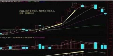 关于MACD，这是我见过讲得最详细的文章!