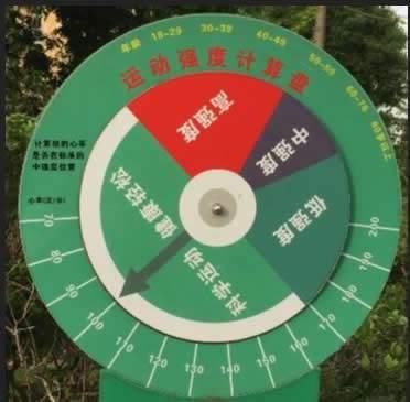 酷暑来袭,合理使用运动强度计算盘,科学运动!