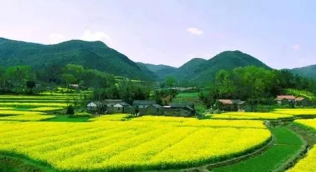 今天起,南昌将成为全国最黄的城市!