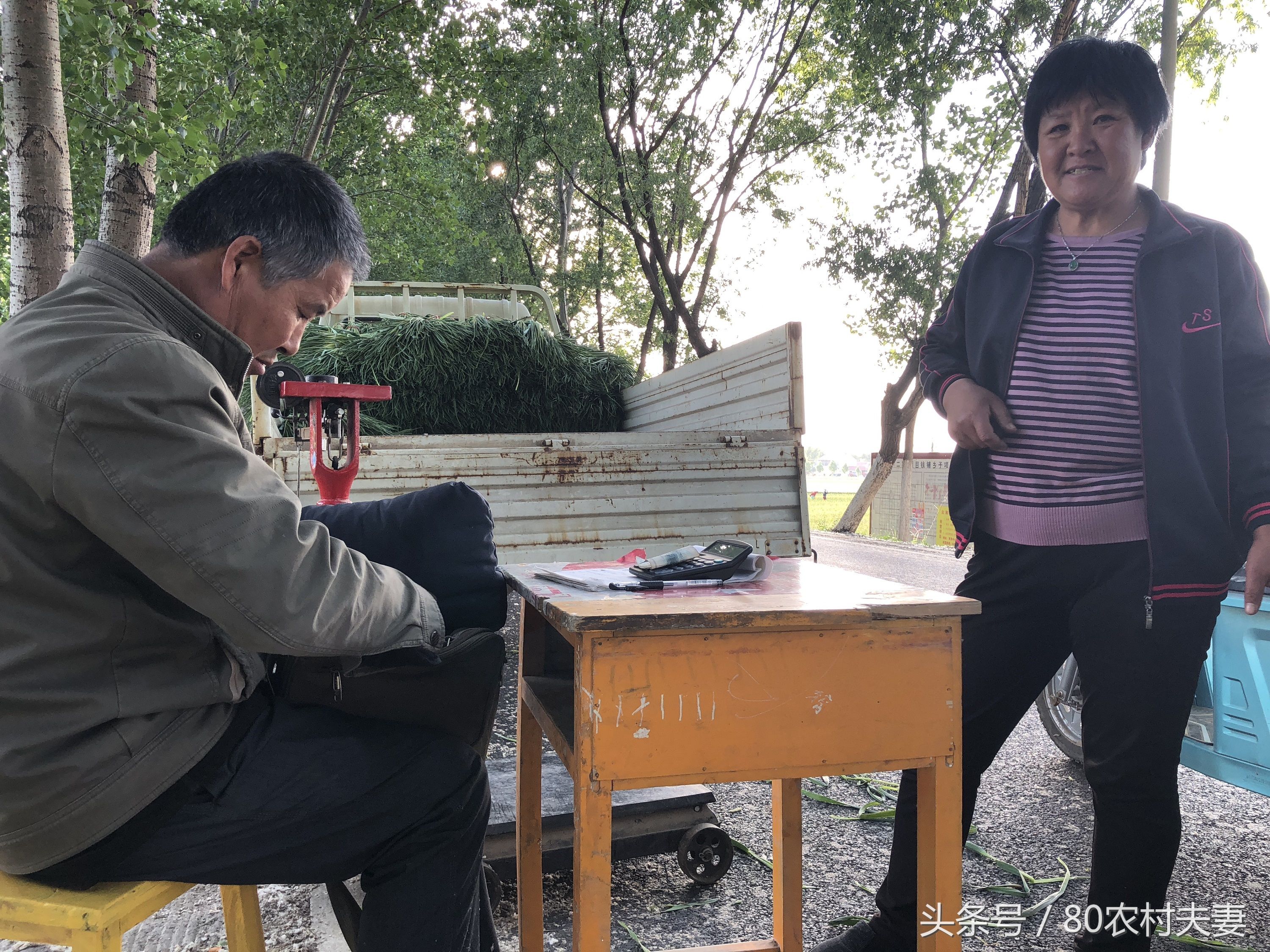 蒜薹价暴跌蒜农嫌贱不肯卖,收蒜薹的商人收不