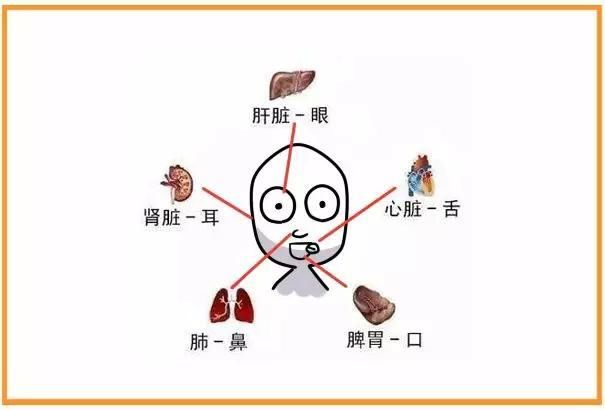 今日最涨姿势的十条冷知识